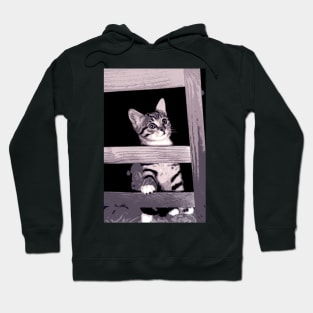 the little cat Hoodie